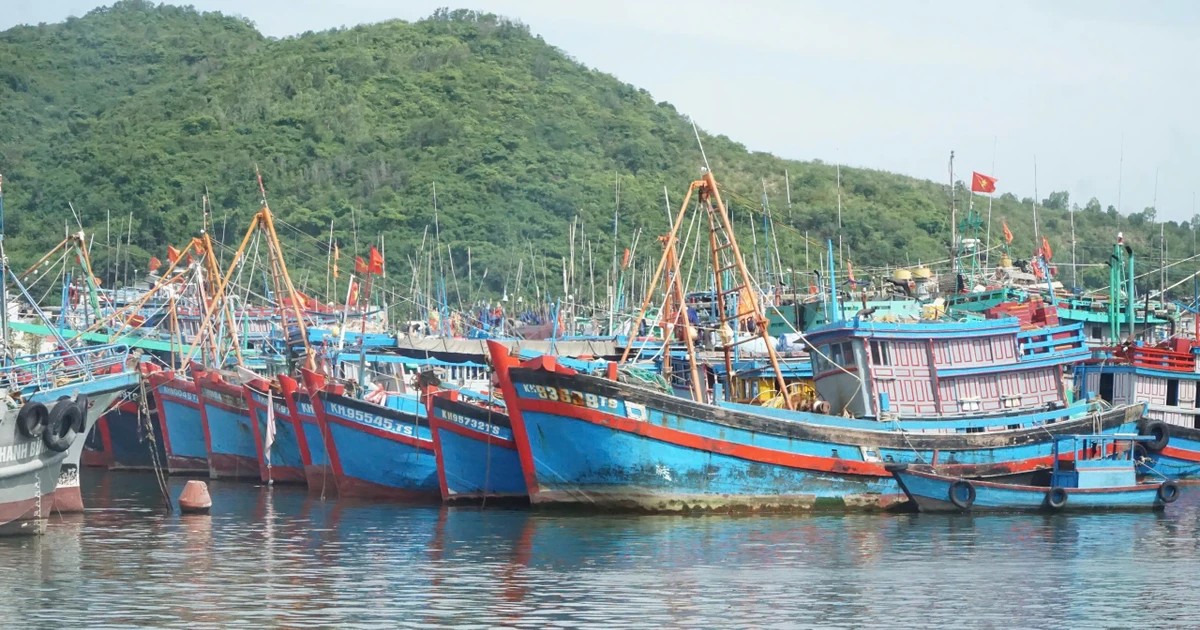 Khánh Hòa lập 9 tổ công tác ứng phó bão, người dân vội bán cá tôm