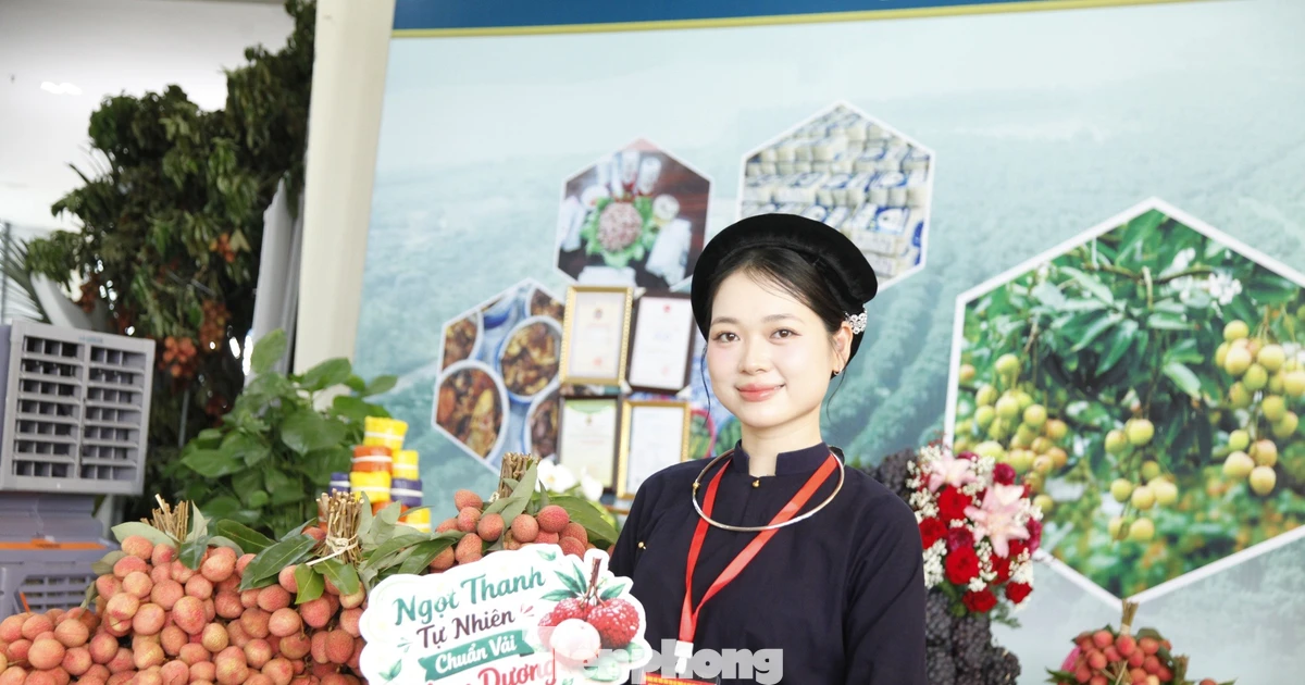Vải thiều Bắc Ninh: Từ trái ngọt quê nhà đến thị trường toàn cầu