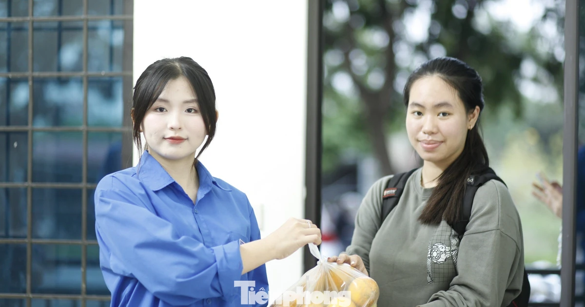 Bán được hơn 1,5 tấn trái cây giữa mưa rét, sinh viên gom vé xe đưa bạn về quê ăn Tết