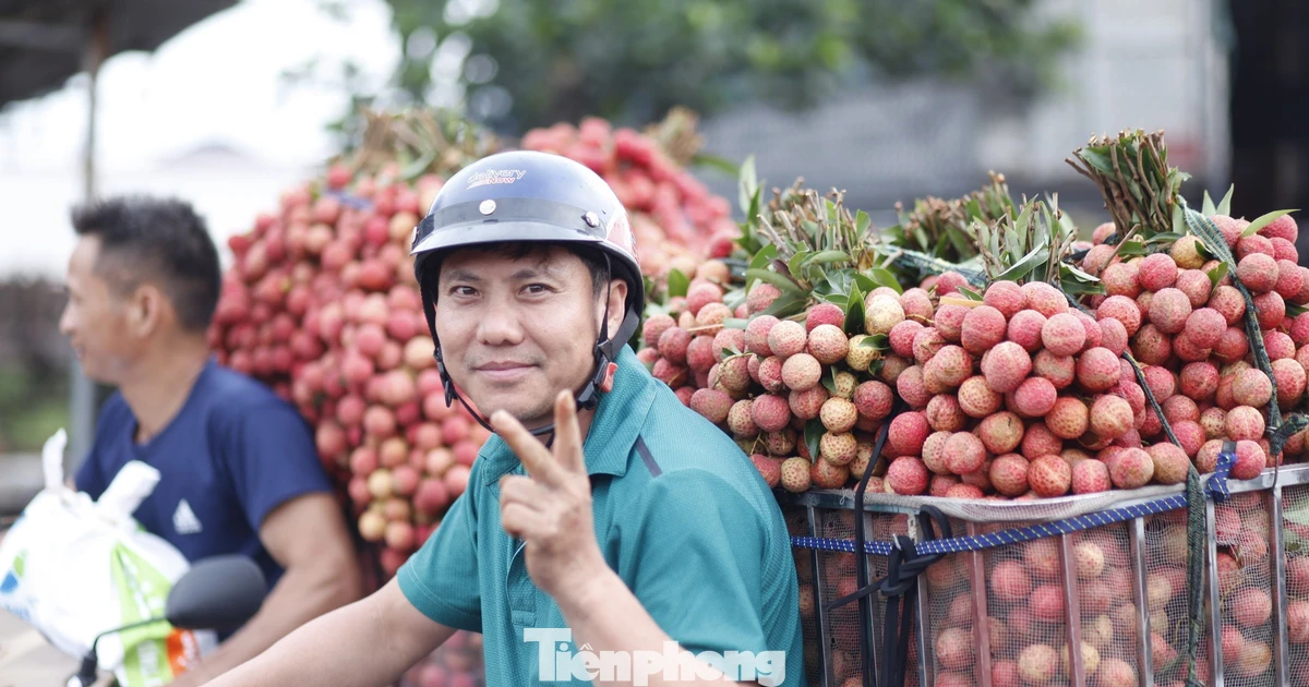 Vải thiều Bắc Ninh sắp vào vụ, doanh nghiệp đổ về 'chốt đơn'