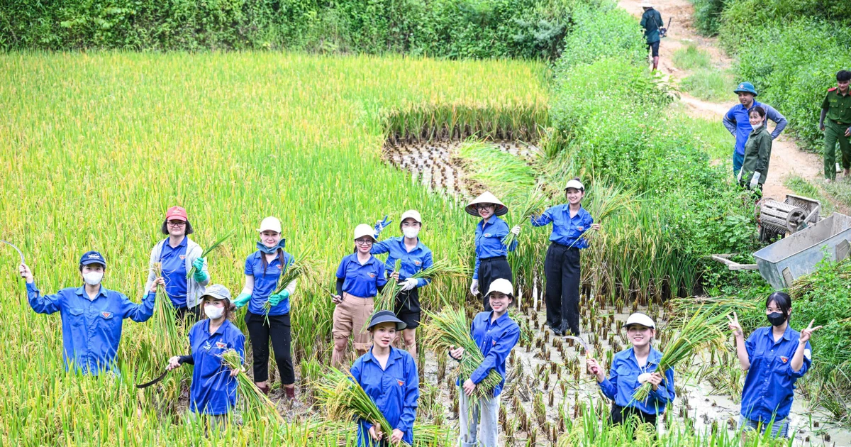 Gần 100 sinh viên Bắc Ninh mang ‘Mùa hè xanh’ lên vùng biên giới