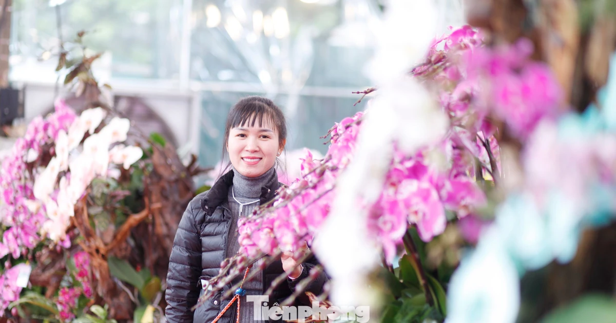 Bỏ hàng tỷ đồng buôn hoa Tết rồi ngóng khách... mất ăn, mất ngủ