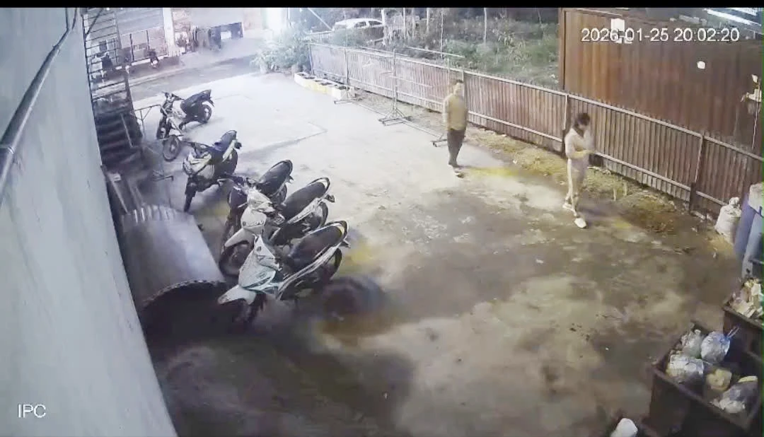 tienphong.vn