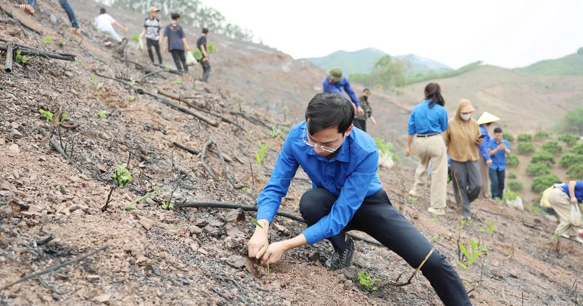 Trao 100.000 cây xanh, thắp hy vọng đổi đời cho thanh niên miền núi