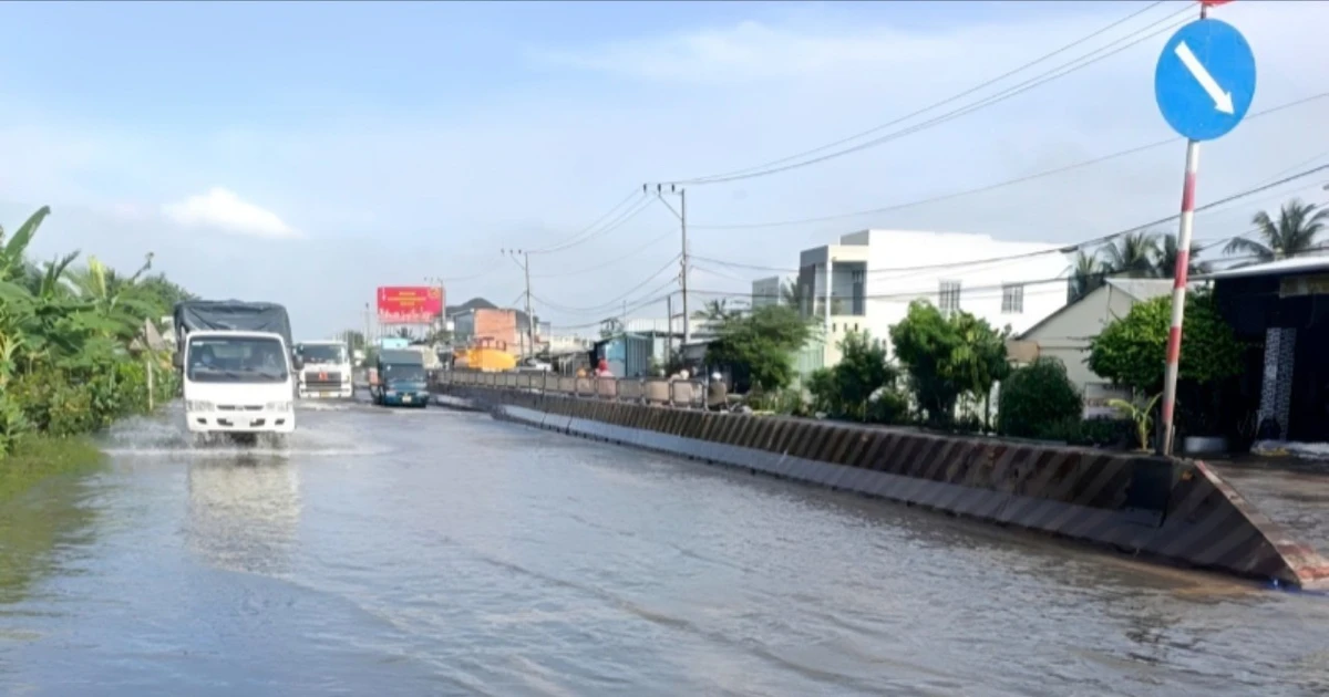 Khẩn cấp sửa đoạn Quốc lộ 1 qua Cần Thơ thường xuyên bị ngập