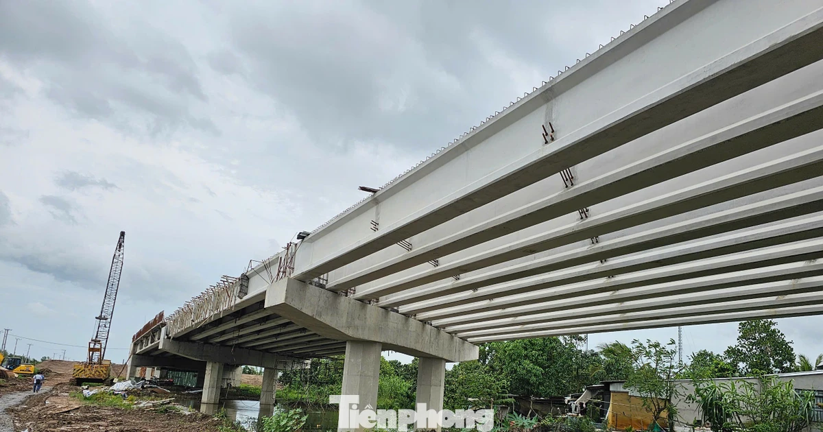Đồng Tháp lập 3 Ban quản lý dự án chuyên ngành