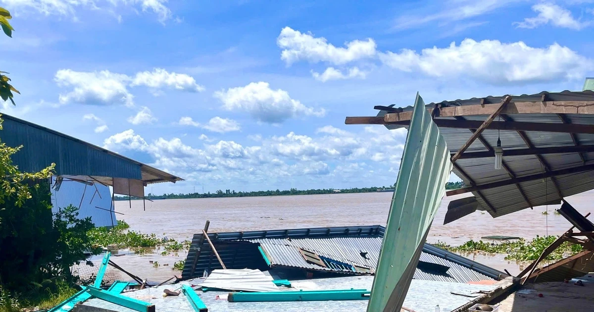 Cấp bách khắc phục sạt lở bờ sông Tiền ở Đồng Tháp