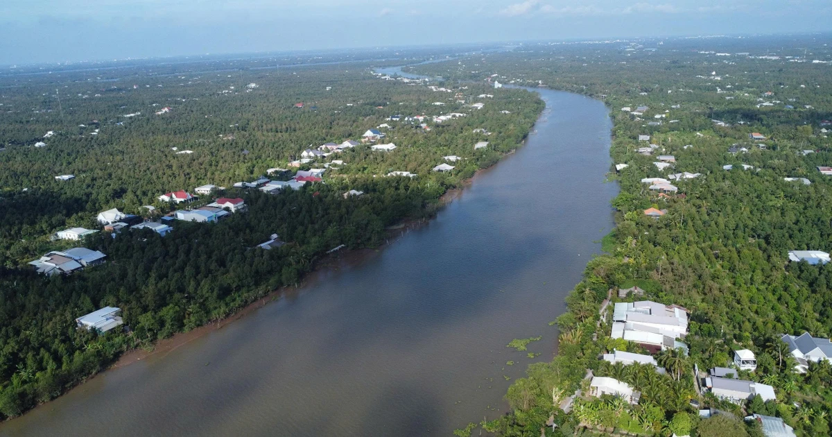 Tàu gỗ và vỏ lãi đâm nhau
