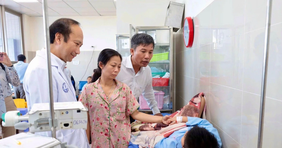 Vụ hàng trăm người nghi ngộ độc bánh mì tại Đồng Tháp: 25 mẫu dương tính vi khuẩn Salmonella