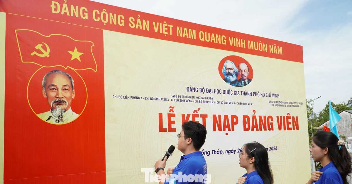 Kết nạp Đảng 10 chiến sĩ Mùa hè xanh tại Đồng Tháp
