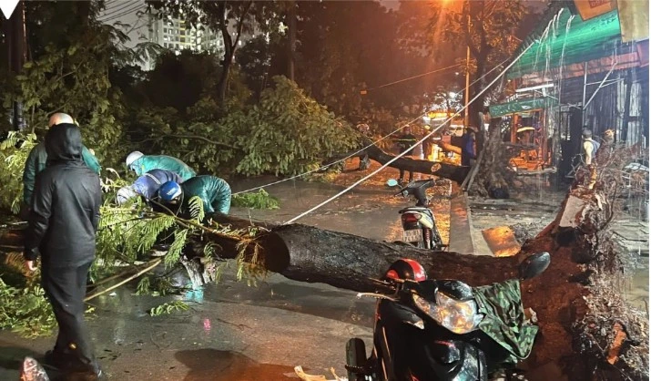 Cây xanh bật gốc đè trúng hai bà cháu ở TPHCM