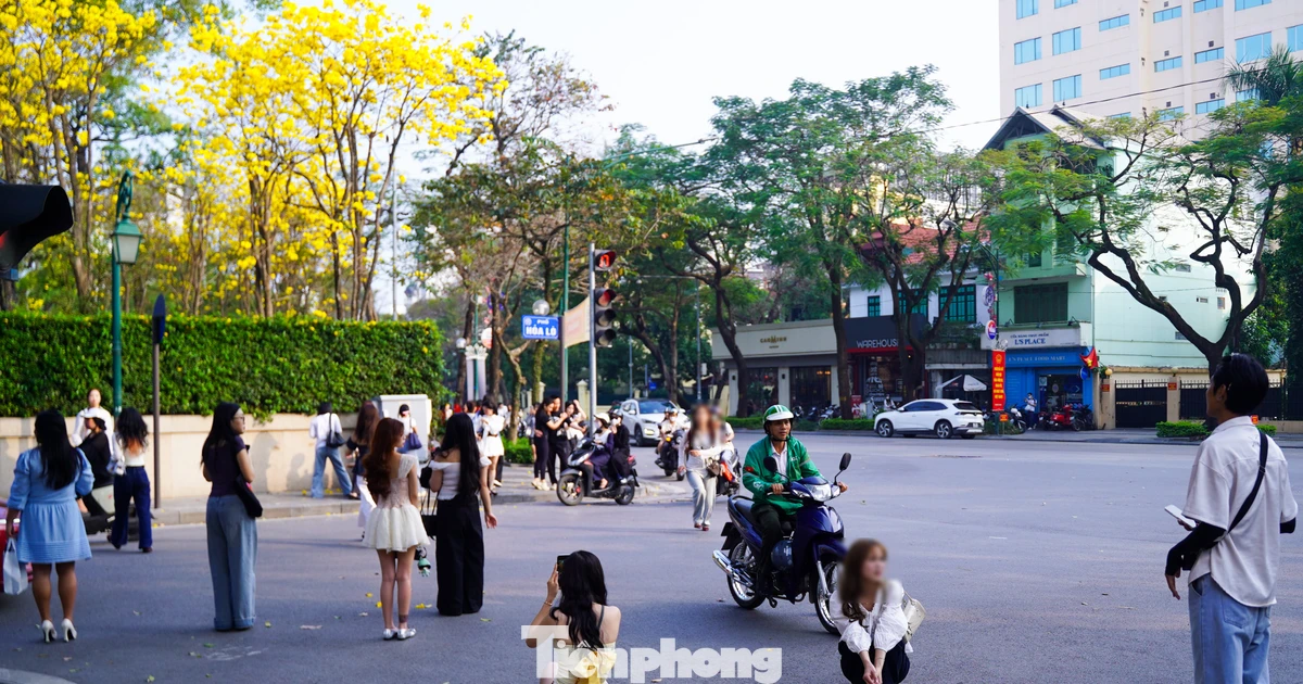 Vô tư đứng, ngồi giữa lòng đường chụp ảnh với hoa phong linh