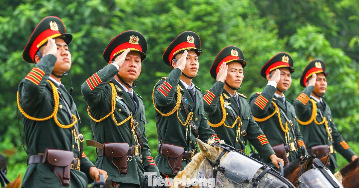 tienphong.vn