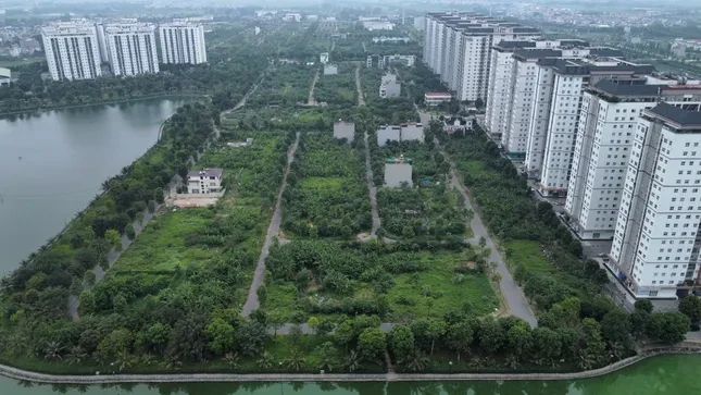 tienphong.vn