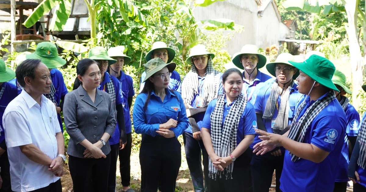 'Chiến dịch Thanh niên tình nguyện Hè 2026' sẽ diễn ra với nhiều hoạt động an sinh, hỗ trợ thanh thiếu nhi