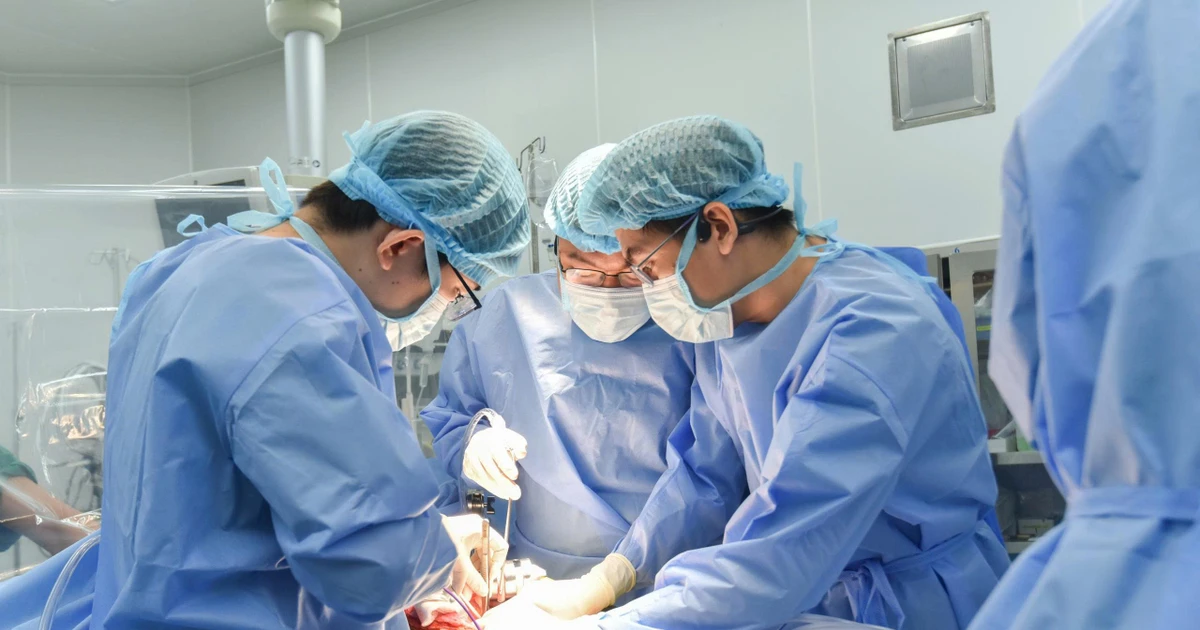 Bản đồ ghép tạng Việt Nam có thêm ‘trạm trung chuyển sự sống’ ở phía Nam