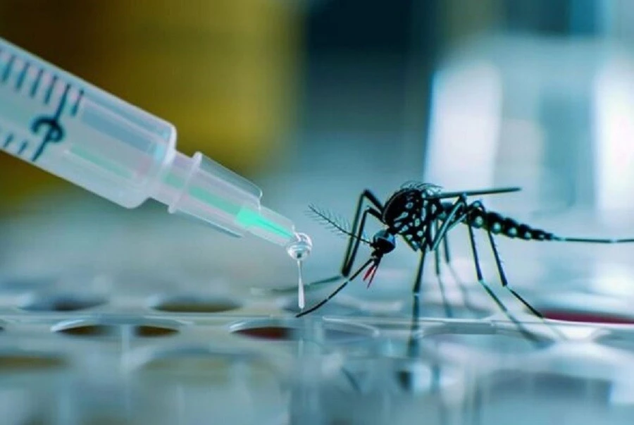 Thử nghiệm vắc xin phòng sốt xuất huyết mới, kỳ vọng chặn đứng dịch bệnh