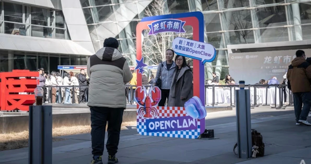 Cơn sốt ‘nuôi tôm hùm’ làm việc thay người