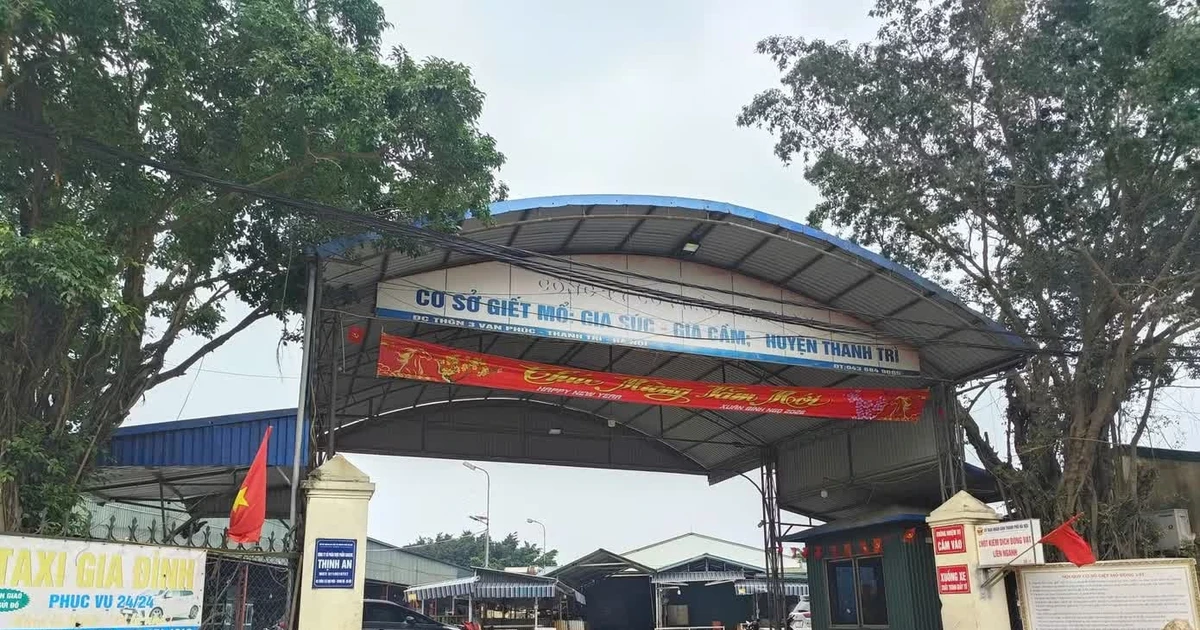 Bộ GD&ĐT yêu cầu kiểm tra suất ăn học đường trên toàn quốc