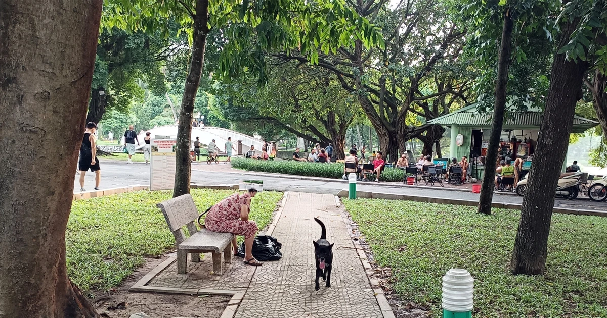 Chó không rọ mõm 'lông nhông' ngoài đường: Lực lượng nào có thẩm quyền bắt giữ và xử phạt?
