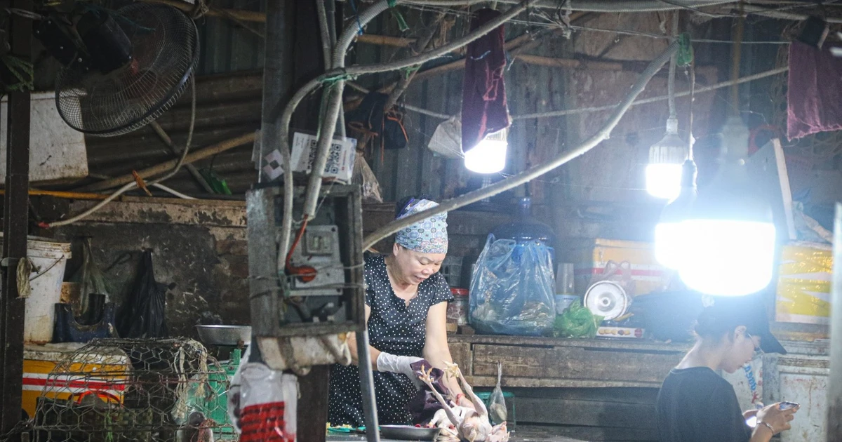 Hà Nội rà soát, chấm dứt hoạt động toàn bộ cơ sở giết mổ gia súc, gia cầm trong khu dân cư