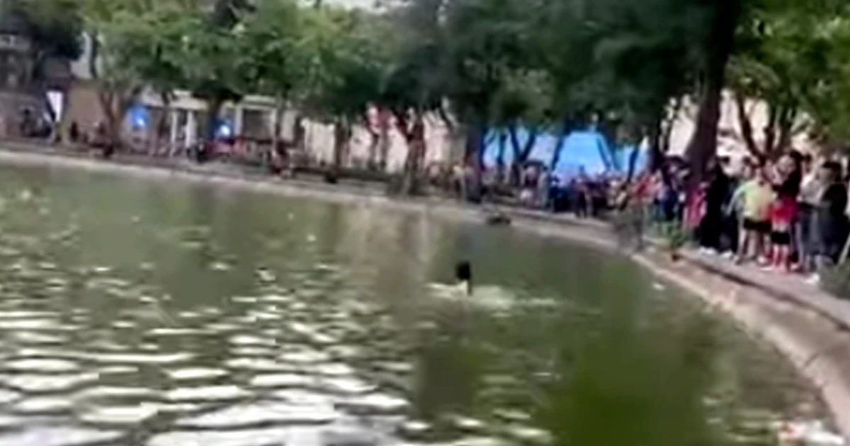 tienphong.vn
