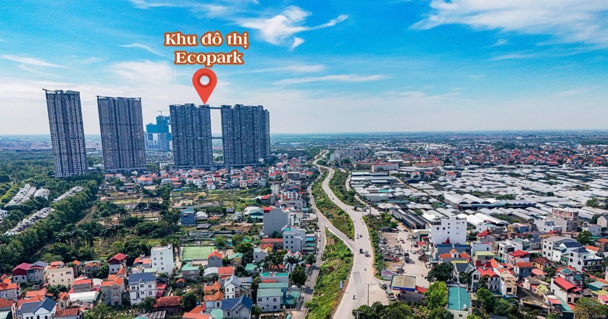 tienphong.vn