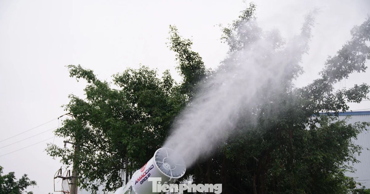 tienphong.vn