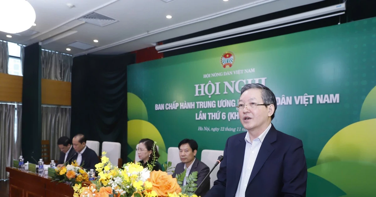 Ban Chấp hành Hội Nông dân Việt Nam kiện toàn nhân sự