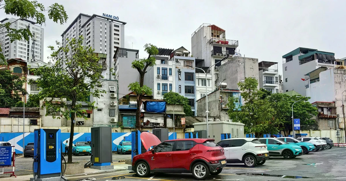 tienphong.vn
