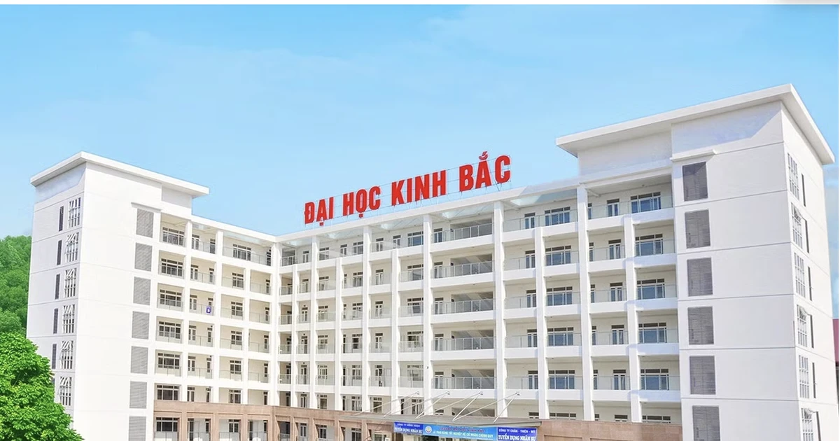 Bắt Phó Chủ tịch Hội đồng Trường Đại học Kinh Bắc Nguyễn Thị Tuyết Hồng