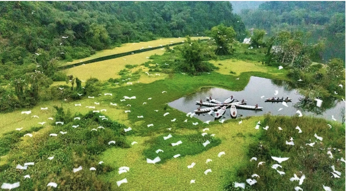 Sự thực Vườn chim Thung Nham được chuyển nhượng với giá hàng triệu USD