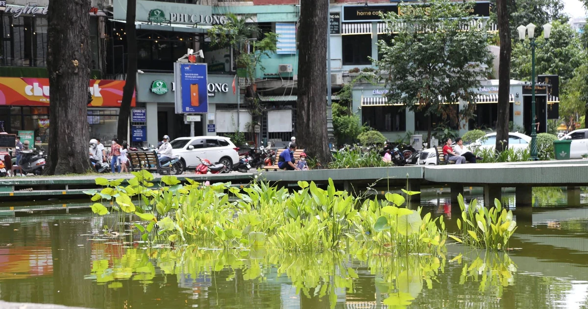 Diện mạo mới nhất của Hồ Con Rùa sau 3 tháng cải tạo | Báo điện tử Tiền ...