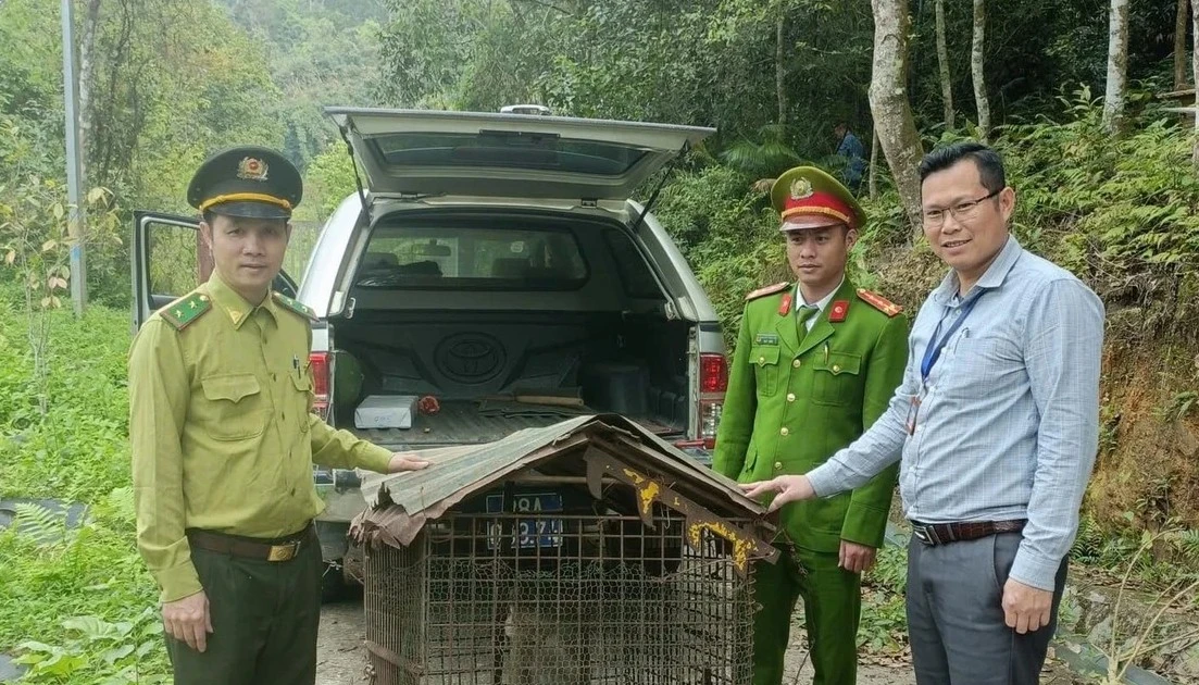 Động vật nguy cấp được thả về rừng Tam Đảo