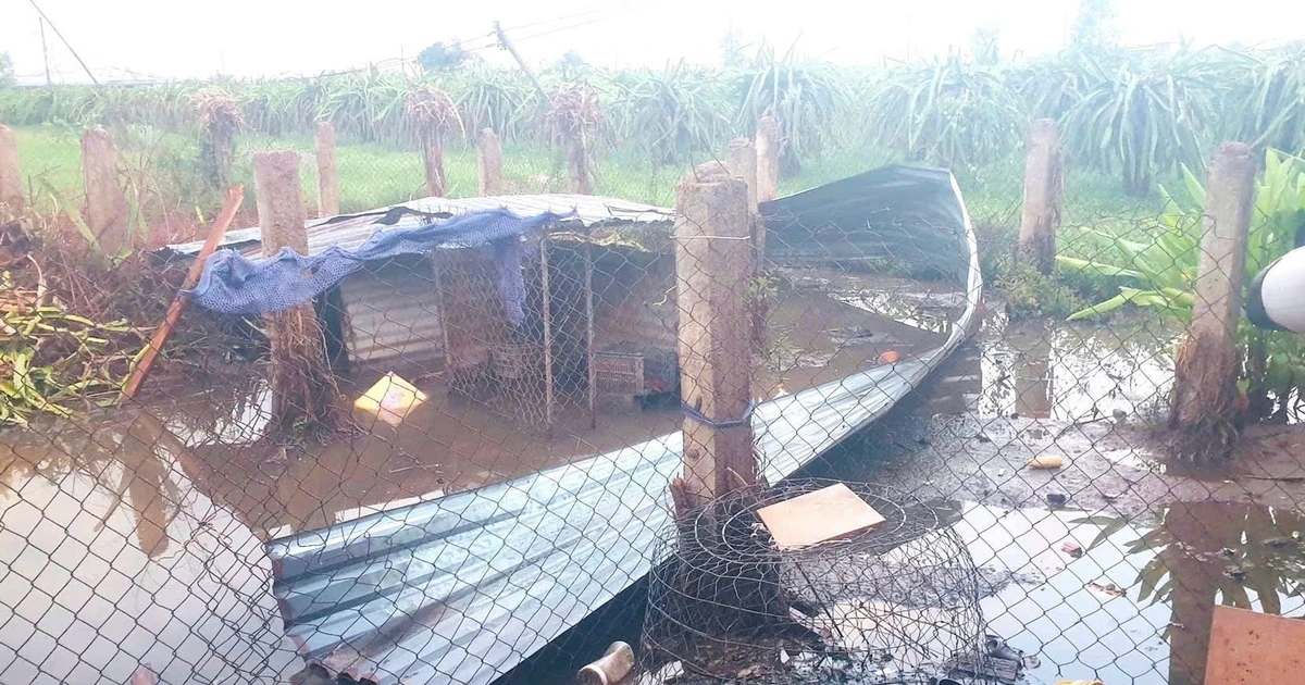 Gió lớn do hoàn lưu bão số 3 làm tấm tôn rơi đè trúng người phụ nữ