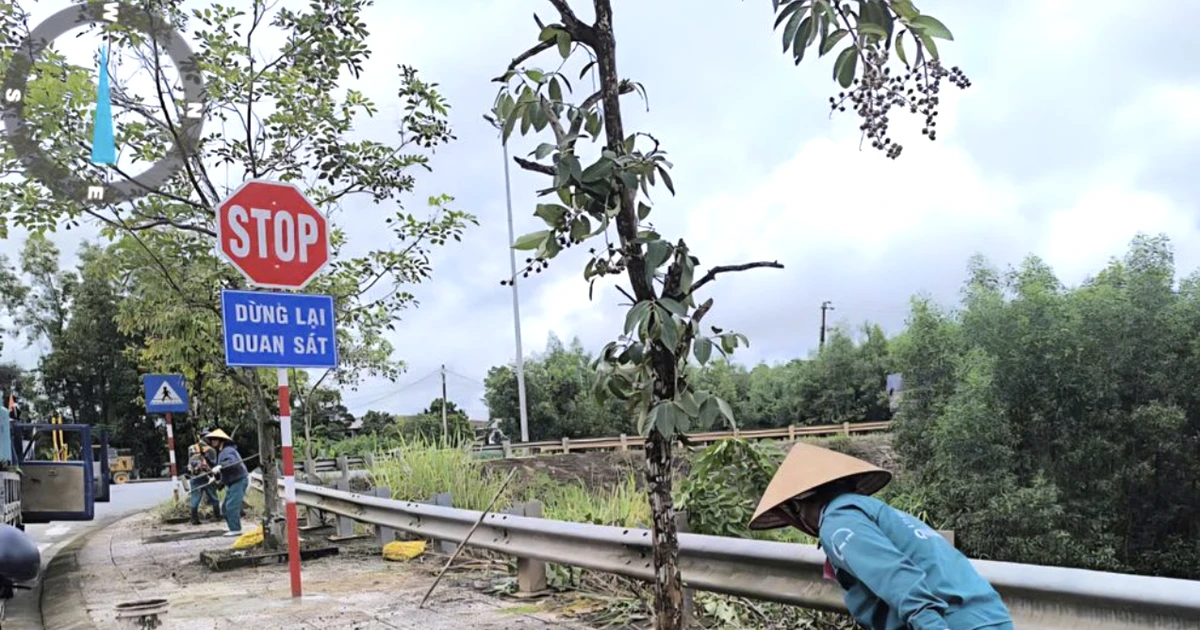 Bổ sung biển báo, kiểm soát tốc độ trên đường Hồ Chí Minh nhánh Đông sau vụ tai nạn