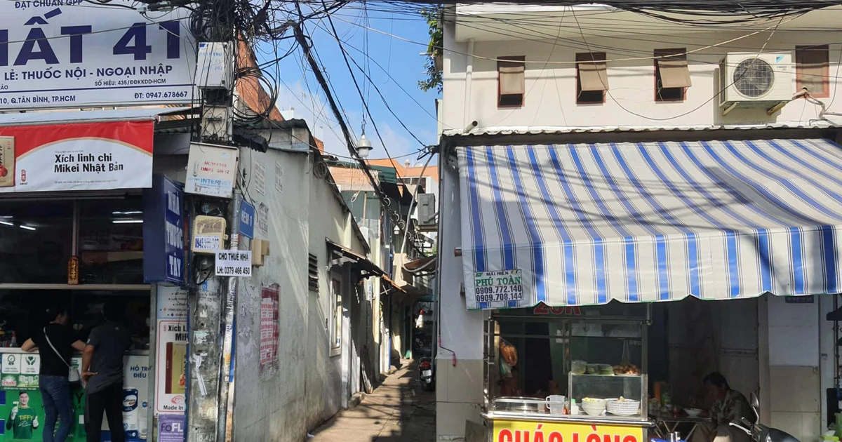 tienphong.vn