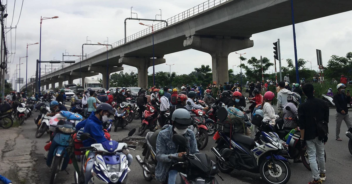 tienphong.vn