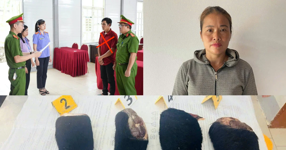 Mua tay gấu, mật gấu bán kiếm lời, hai đối tượng bị khởi tố