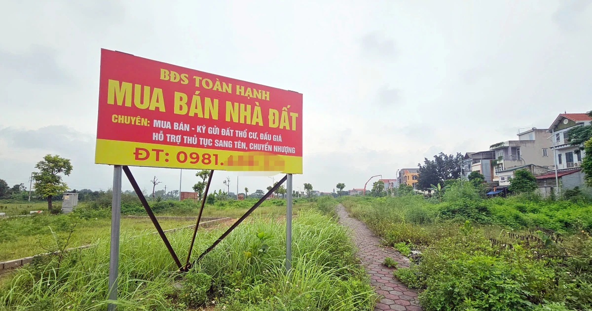Nhu cầu tìm kiếm bất động sản hạ nhiệt trên diện rộng