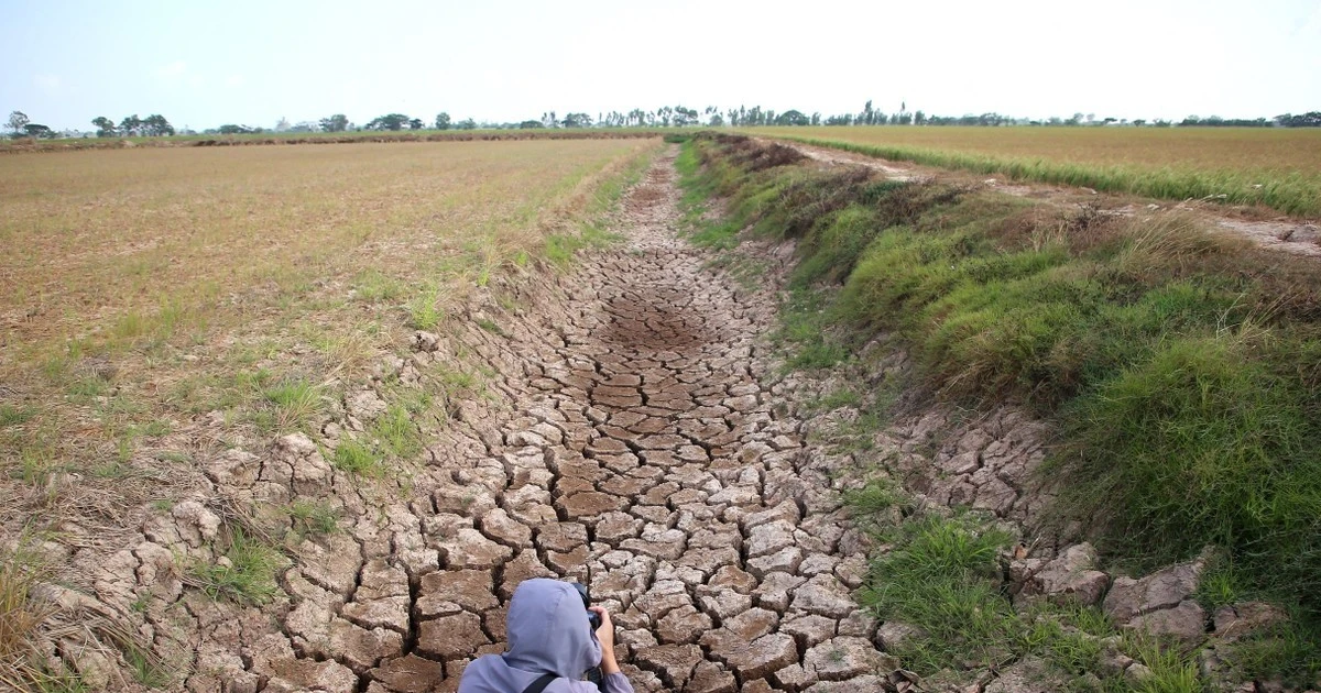Xâm nhập mặn có thể vào sâu nhất 70km ở ĐBSCL