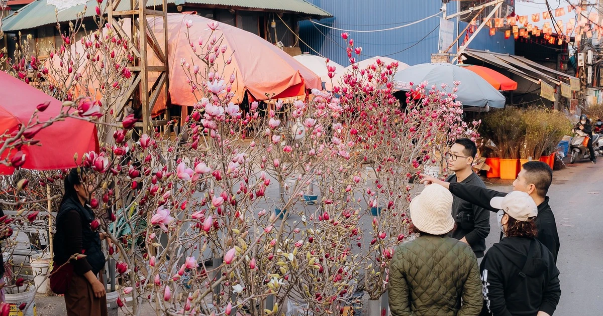 Miền Bắc 'nắng gắt' ngày 28 Tết