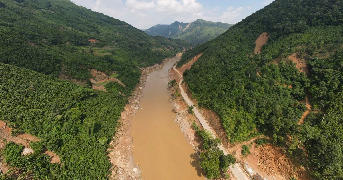 Việt Nam nhận gần 1900 tỷ đồng để phát triển rừng miền Bắc