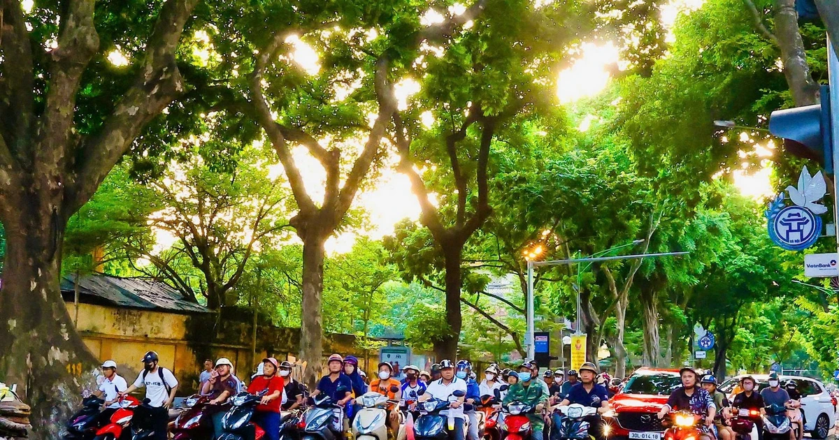 Miền Bắc tăng nhiệt trước khi đón không khí lạnh tăng cường