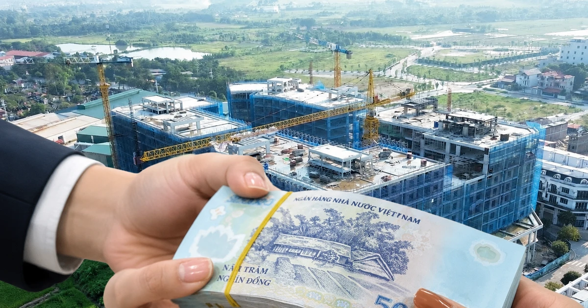 Nghiên cứu đánh thuế cao hơn với nhà đất bỏ hoang: Đã đến thời điểm chín muồi?