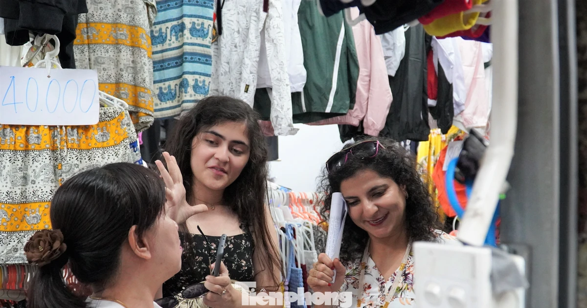 Phòng chống dịch bệnh do vi rút Nipah: Đà Nẵng kiểm soát chặt nguồn khách từ Ấn Độ