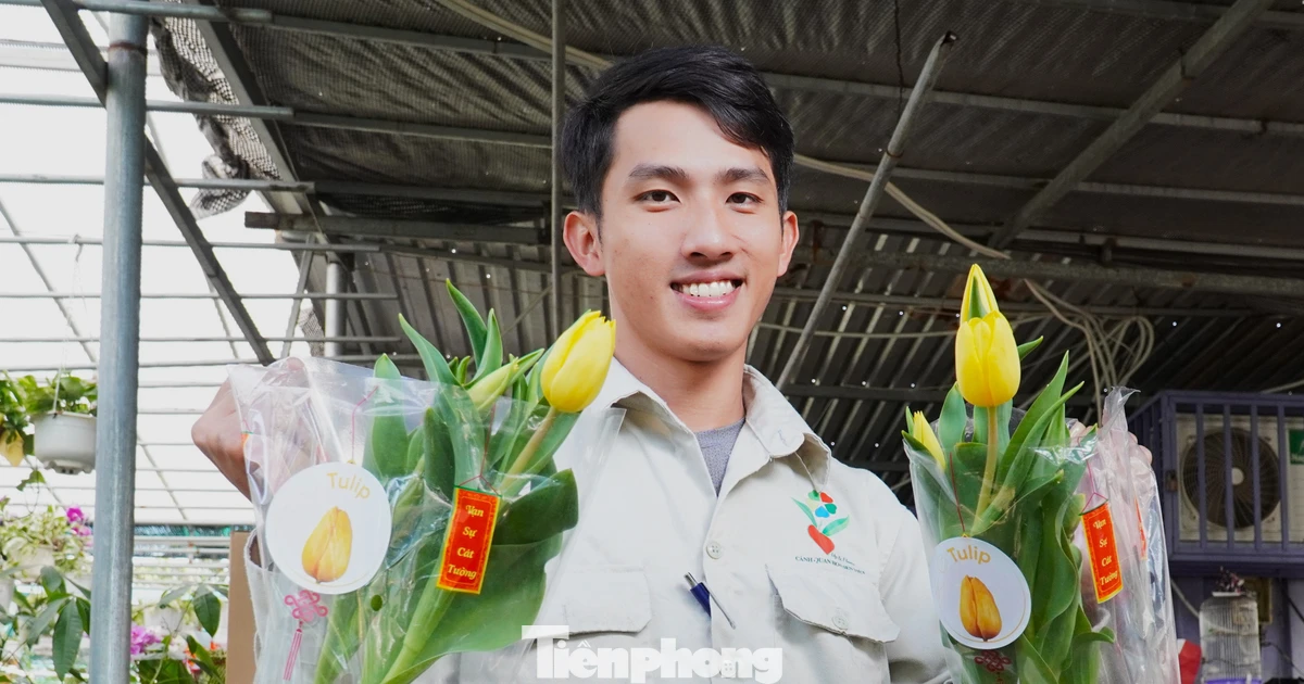 Người dân Đà Nẵng bị hoa tulip xứ lạnh mê hoặc