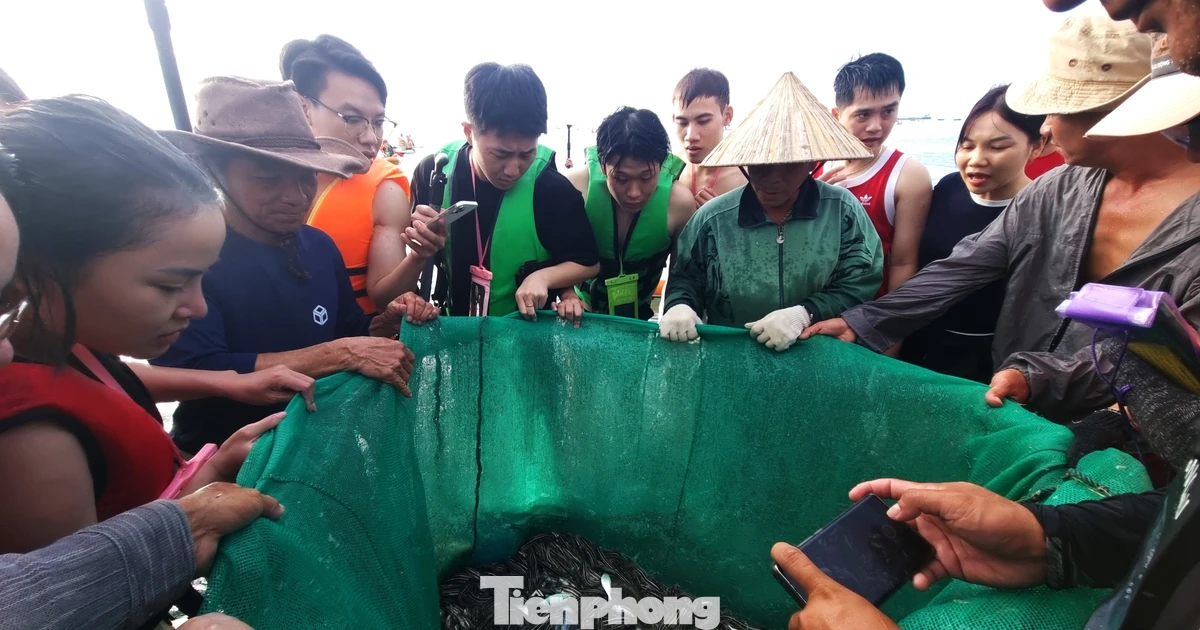 Đà Nẵng: Du khách kéo nhau 'đột nhập' chợ cá lúc rạng sáng