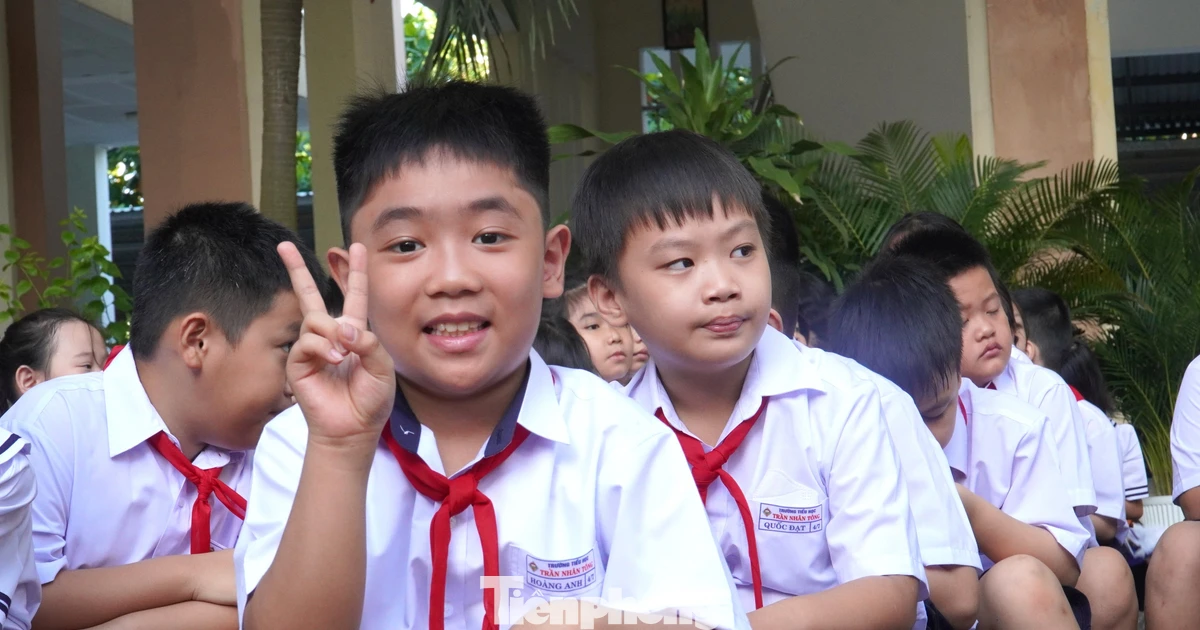 Đà Nẵng thu tối đa 1 triệu đồng/trẻ mỗi tháng bán trú hè