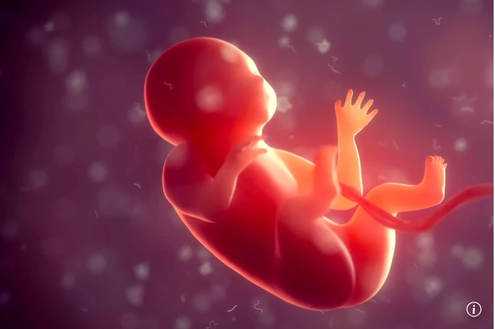 Phát hiện đáng ngại của Trung Quốc về sinh con trong không gian